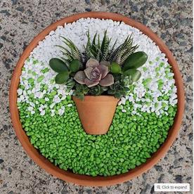 Beautify succulent art with pebbles