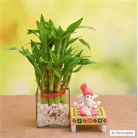 2 layer lucky bamboo in glass vase with lord ganesha idol