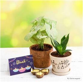 Celebrate clean diwali with air purifier plants and eco friendly diyas