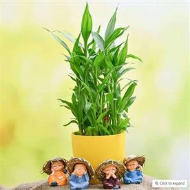 Celebrate happiness with 3 layer lucky bamboo and cute monks
