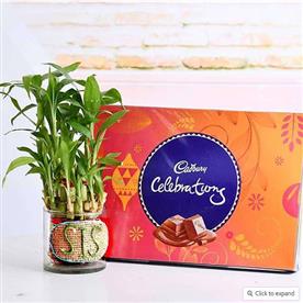 2 layer lucky bamboo with chocolate for caring sister