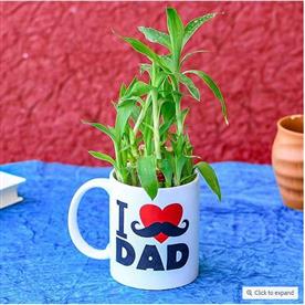 Special 2 layer lucky bamboo in i love dad mug