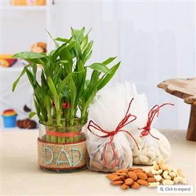 2 layer lucky bamboo with dry fruits for compassionate dad