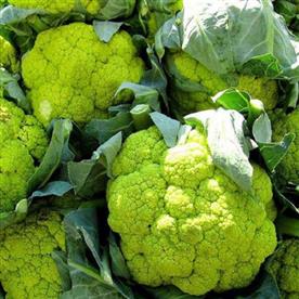 Cauliflower green verde - vegetable seeds