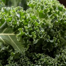 Kale green edible - vegetable seeds