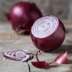 Onion np 53