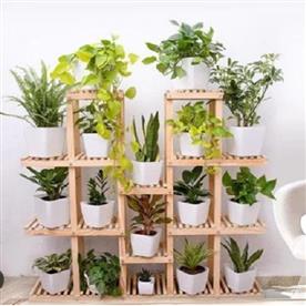 Wooden planter stand