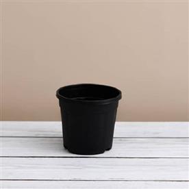 6 inch (15 cm) grower round plastic pot (black)