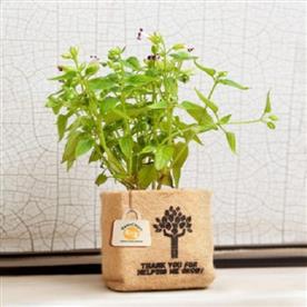12 inch (30 cm) eco friendly jute grow bag (brown)