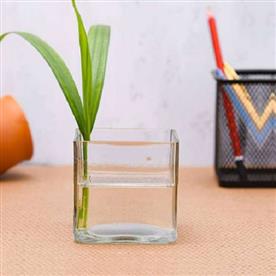 2.5 inch (6 cm) square glass vase