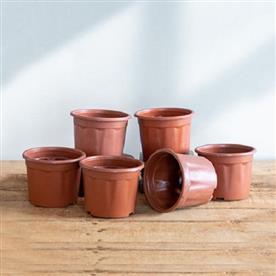 4 inch (10 cm) grower round plastic pot (terracotta color)