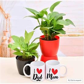 Greet your mom dad with green garden and mugs