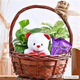 Basket of joy for someone special