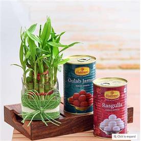 Celebrate happiness with 2 layer lucky bamboo and sweets