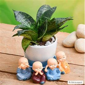 Wish happiness with super sansevieria in a ceramic pot and cute monks