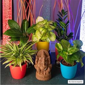 Eco-friendly ganesha with oxygen enriching indoor garden