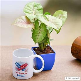 Special syngonium plant with mug for special friend