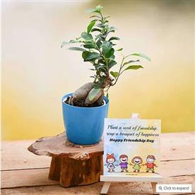 Friendship day wishes with incredible ficus bonsai and mini easel