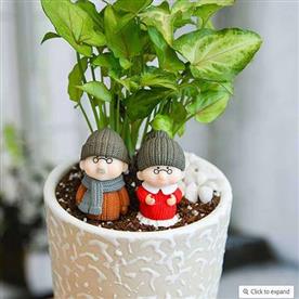 Celebrate years of togetherness with dada - dadi - miniature garden